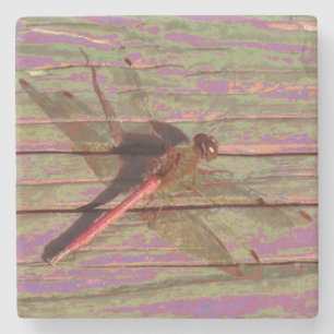 Dessous-de-verre En Pierre Dragonfly