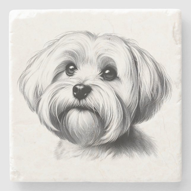 Dessous-de-verre En Pierre Drawing maltese (Devant)