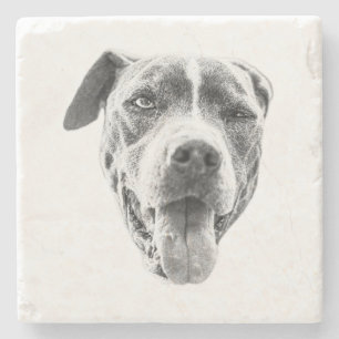 Dessous-de-verre En Pierre Echo Canine Canine Chiline