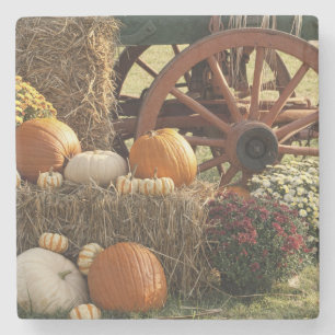 Dessous-de-verre En Pierre Écran Citrouille Automne Et Mère