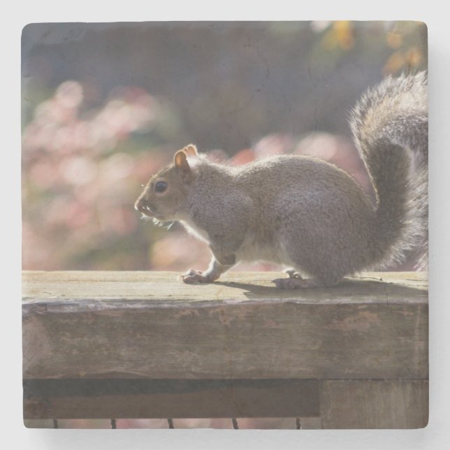 Dessous-de-verre En Pierre Écureuil (Devant)