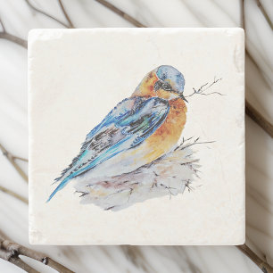 Dessous-de-verre En Pierre Elégante aquarelle Bluebird Nature