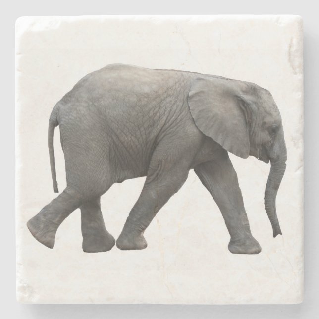 Dessous-de-verre En Pierre éléphant africain (Devant)