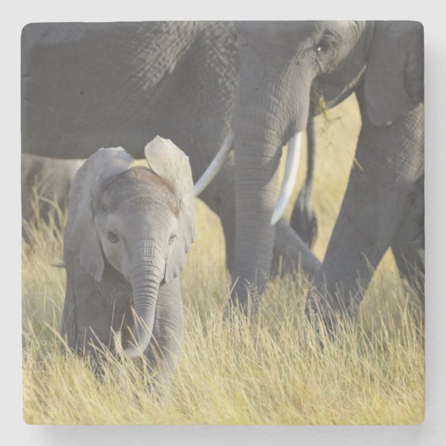 Dessous-de-verre En Pierre Éléphant de bébé (Devant)