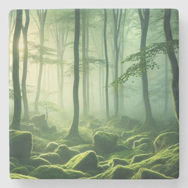 Dessous-de-verre En Pierre Enchanted Misty Forest Serene Green Woodland Scene (Devant)