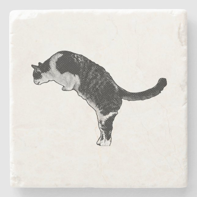 Dessous-de-verre En Pierre Énergie de chat frais (Devant)