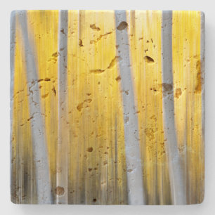 Dessous-de-verre En Pierre entouré d'Aspen