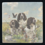 Dessous-de-verre En Pierre Espagnol Springer anglais, Art<br><div class="desc">Espagnol Springer anglais,  Art</div>