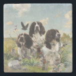 Dessous-de-verre En Pierre Espagnol Springer anglais, Art<br><div class="desc">Espagnol Springer anglais,  Art</div>