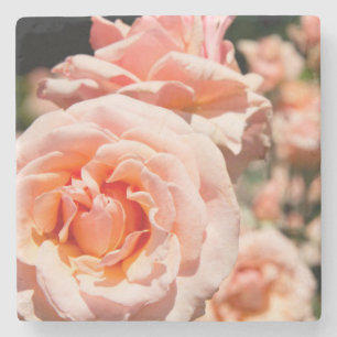 Dessous-de-verre En Pierre États-Unis, Alabama, Théodore près de Mobile 5