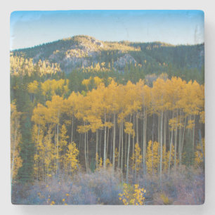 Dessous-de-verre En Pierre États-Unis, Colorado. Jaunes brillants Aspens dans
