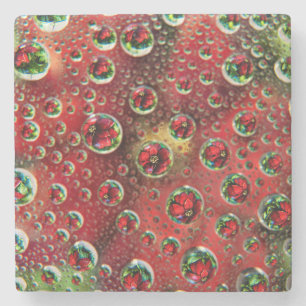 Dessous-de-verre En Pierre États-Unis, Colorado, Lafayette. Bulles d'eau sur