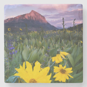 Dessous-de-verre En Pierre États-Unis, Colorado, Mt. Crested Butte