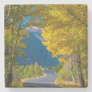 Dessous-de-verre En Pierre États-Unis, Colorado. Route flanquée de trembles