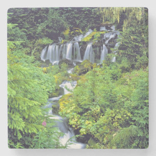 Dessous-de-verre En Pierre États-Unis, État de Washington, Mt Adams Wildern