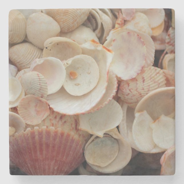 Dessous-de-verre En Pierre États-Unis, Floride. Fermeture Des Coques Sur Père (Devant)