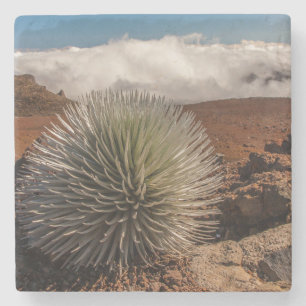 Dessous-de-verre En Pierre États-Unis, Hawaï, Maui, Parc national de Haleakal