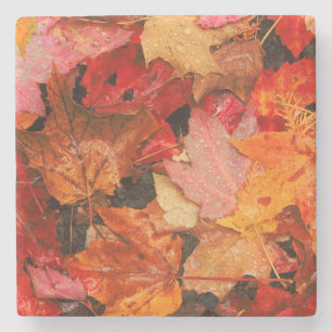 Dessous-de-verre En Pierre États-Unis, Maine. Feuilles d'érable en automne