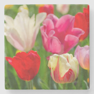 Dessous-de-verre En Pierre États-Unis, Tennessee, Nashville