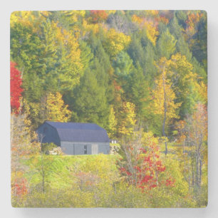 Dessous-de-verre En Pierre États-Unis, Vermont. Feuillage d'automne le long d