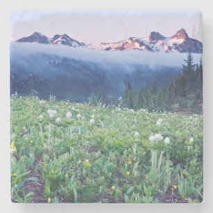 Dessous-de-verre En Pierre États-Unis, Washington, Mt. Rainier National Park