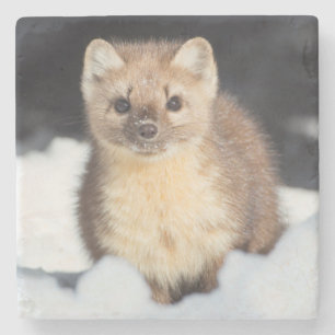 Dessous-de-verre En Pierre États-Unis, Wyoming, Yellowstone National Park