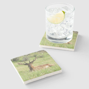 Dessous-de-verre En Pierre Étiquettes de la Nouvelle-Zélande