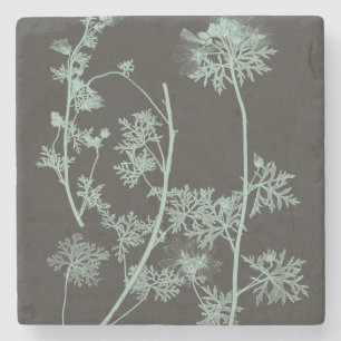 Dessous-de-verre En Pierre Étude sur la nature de la menthe et du charbon de