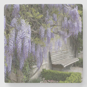 Dessous-de-verre En Pierre Europe, Autriche, Salzbourg Stadt, Salzbourg,