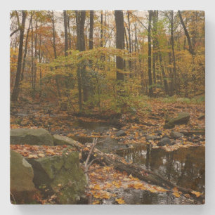 Dessous-de-verre En Pierre Fall Creek avec réflexion à Laurel Hill Park