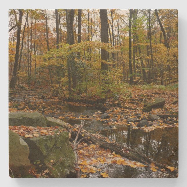 Dessous-de-verre En Pierre Fall Creek avec réflexion à Laurel Hill Park (Devant)