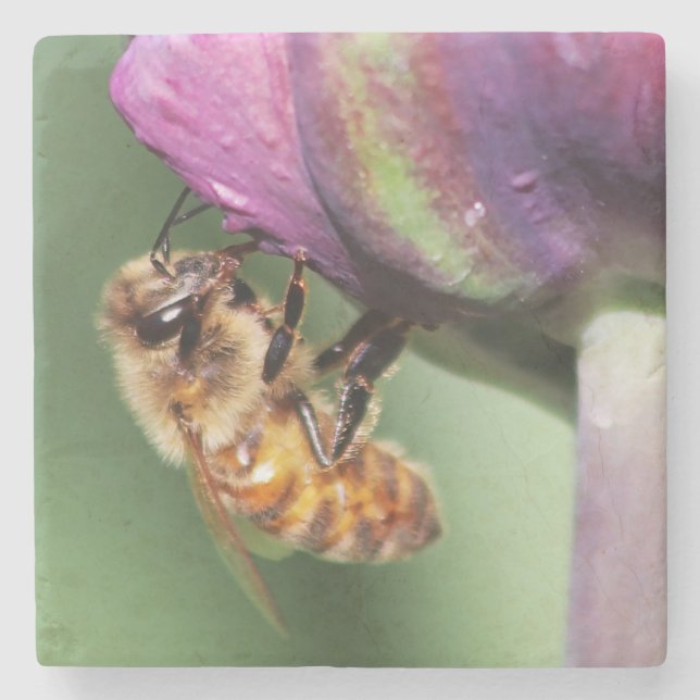 Dessous-de-verre En Pierre Fallen Fuzzy Little Bee (Devant)
