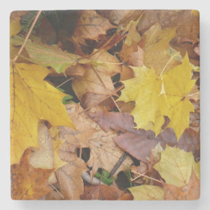 Dessous-de-verre En Pierre Fallen Maple Feuille Jaune Automne Nature