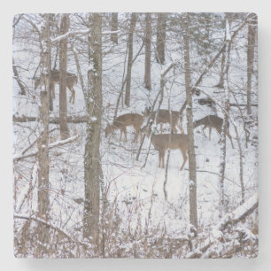 Dessous-de-verre En Pierre Famille De Cerfs En Neige
