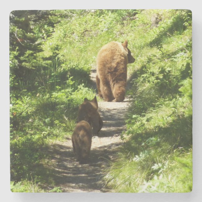 Dessous-de-verre En Pierre Famille d'ours brun (Devant)