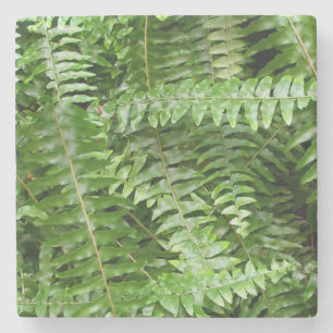 Dessous-de-verre En Pierre Fermer Fronds I Green Nature