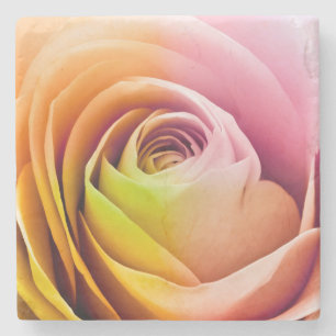 Dessous-de-verre En Pierre Fermez-vous des pétales de rose colorés