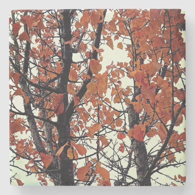 Dessous-de-verre En Pierre Feuille orange (Devant)