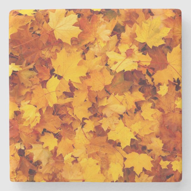 Dessous-de-verre En Pierre Feuilles d'automne (Devant)