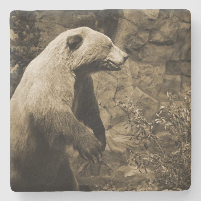 Dessous-de-verre En Pierre Fière Ours (Devant)