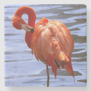 Dessous-de-verre En Pierre Flamant sur une jambe dans l'eau
