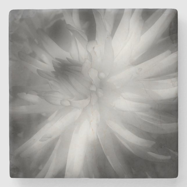 Dessous-de-verre En Pierre Fleur Dahlia En Noir Et Blanc (Devant)