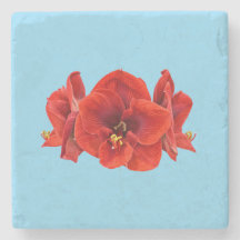 Fleur d'amaryllis cramoisie – Élégante floraison b
