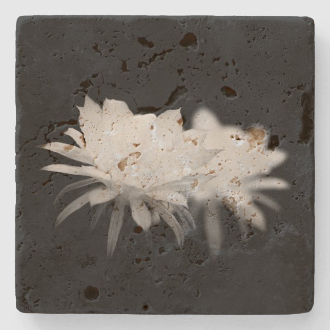 Dessous-de-verre En Pierre Fleur de cactus noir et blanc (Devant)