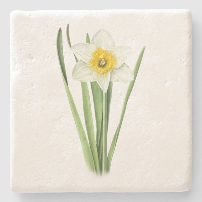 Dessous-de-verre En Pierre Fleur de jonquil (Devant)