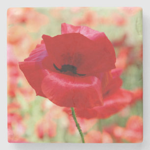 Dessous-de-verre En Pierre Fleur de pavot rouge vintage