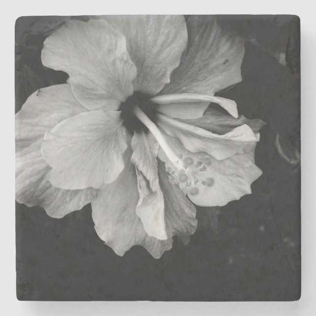 Dessous-de-verre En Pierre Fleur d'Hibiscus (Devant)