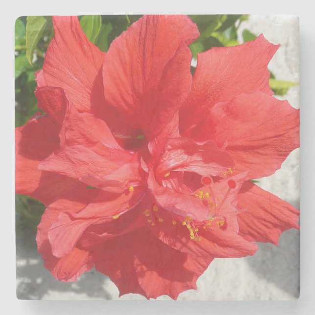 Dessous-de-verre En Pierre Fleur double hibiscus rouge (Devant)