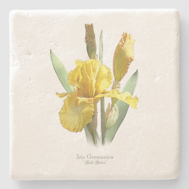 Dessous-de-verre En Pierre Fleur Jaune Iris (Devant)
