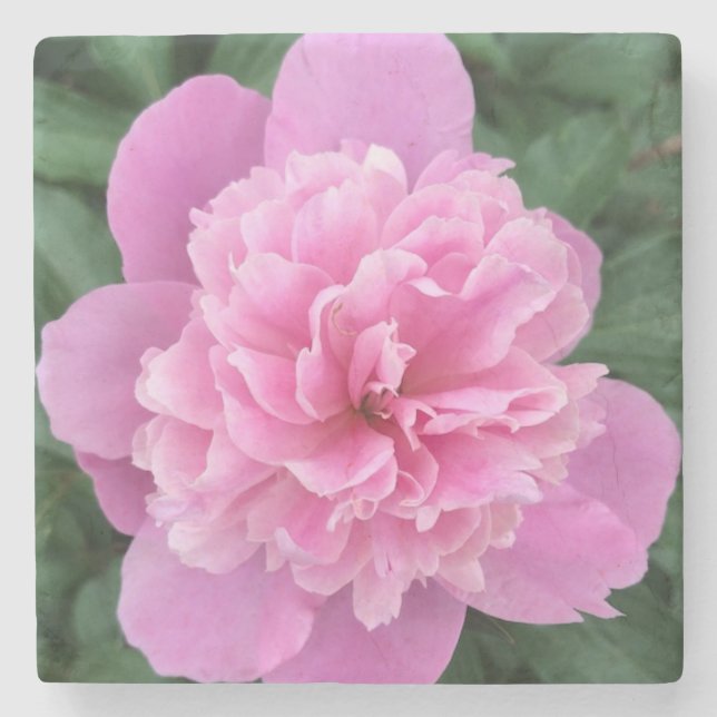 Dessous-de-verre En Pierre Fleur rose (Devant)